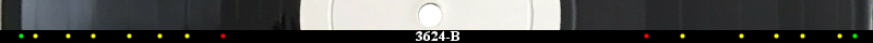 SLT-WCF LP  Track Banding 2