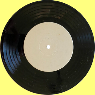 Disc Flip Side