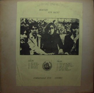 Oblong Pirate  Slick