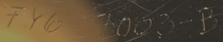FYG Matrix 2