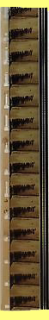  Film Strip