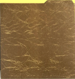 Folder Rear