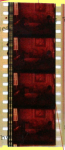  Film Strip