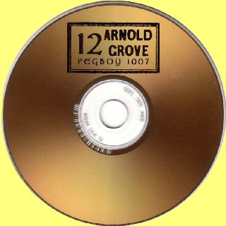 Kodak Gold CDR Disc