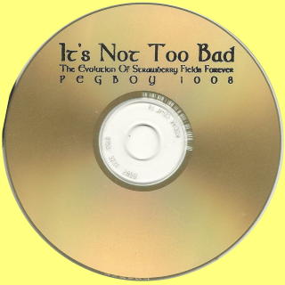 Gold Kodak White Label  Disc