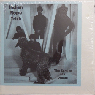 Blue and Black Slick