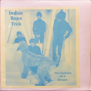 Canary and Black Slick