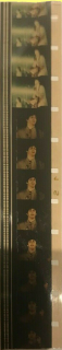 Film Strip