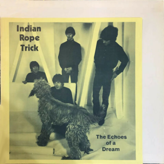 Canary + black Cover