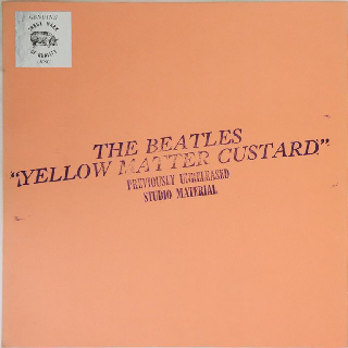 Silver Foil stickered Sleeve