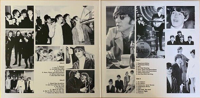 Gatefold Inner