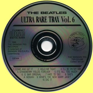 GZ Fake Disc