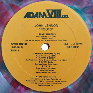 Verzyl  Records Label
