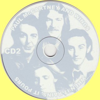 Fuzzy Fake Disc 2