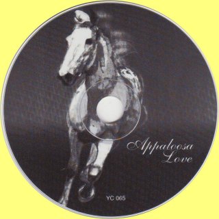 Disc